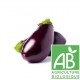 Aubergine bio